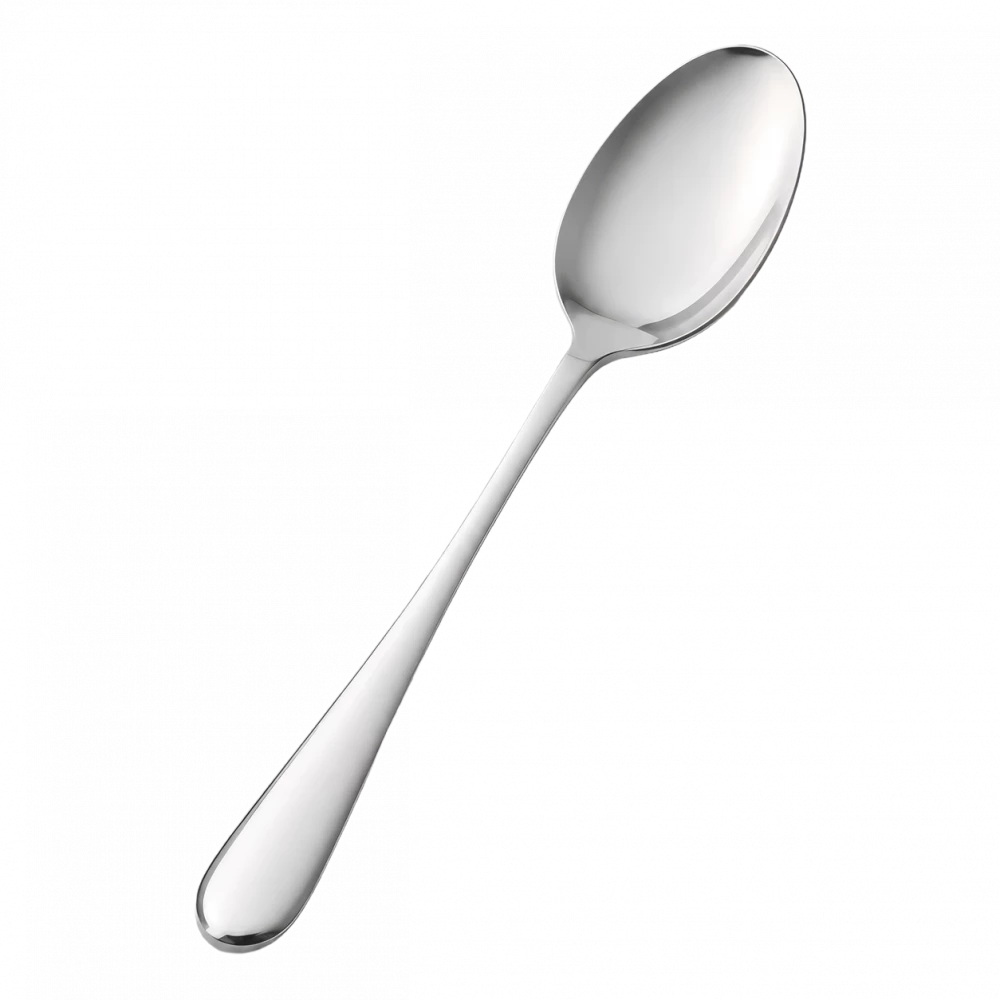 Serving Spoon 23cm